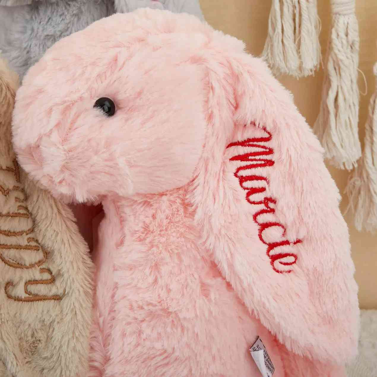 Baby Rabbit With Name