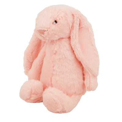 Baby Rabbit With Name